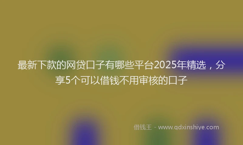 最新下款的网贷口子有哪些平台2025年精选，分享5个可以借钱不用审核的口子