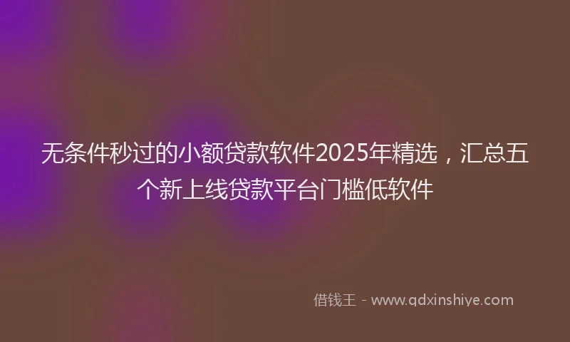 无条件秒过的小额贷款软件2025年精选，汇总五个新上线贷款平台门槛低软件