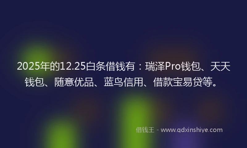 2025年的12.25白条借钱有：瑞泽Pro钱包、天天钱包、随意优品、蓝鸟信用、借款宝易贷等。