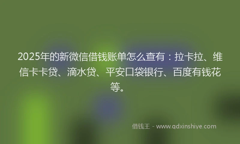 2025年的新微信借钱账单怎么查有：拉卡拉、维信卡卡贷、滴水贷、平安口袋银行、百度有钱花等。