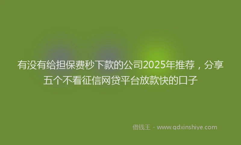 有没有给担保费秒下款的公司2025年推荐，分享五个不看征信网贷平台放款快的口子