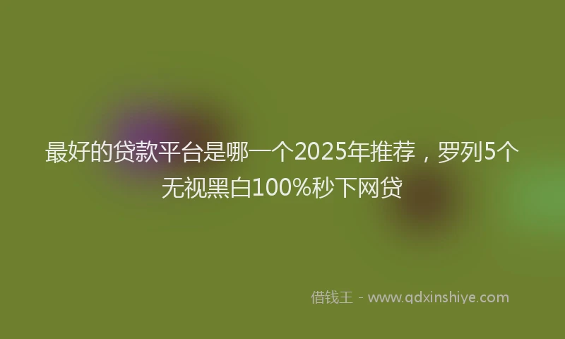 最好的贷款平台是哪一个2025年推荐，罗列5个无视黑白100%秒下网贷