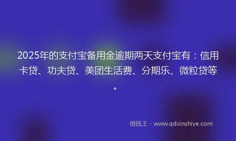 2025年的支付宝备用金逾期两天支付宝有：信用卡贷、功夫贷、美团生活费、分期乐、微粒贷等。