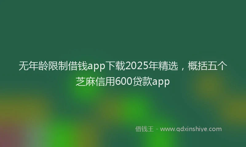 无年龄限制借钱app下载2025年精选，概括五个芝麻信用600贷款app