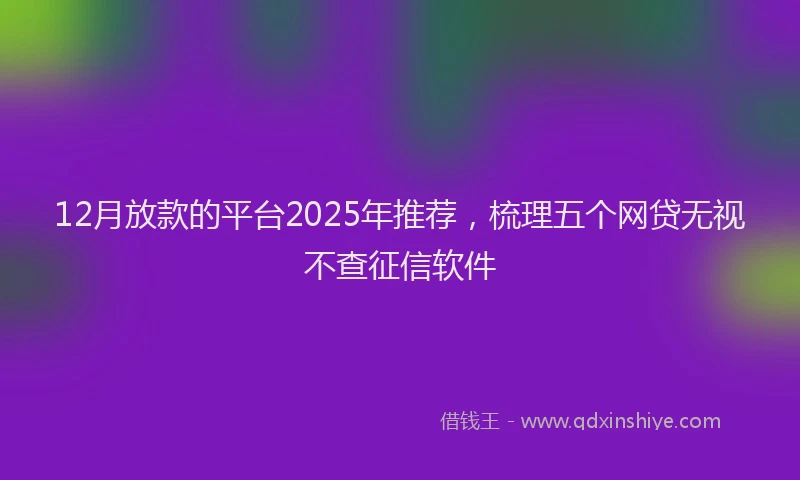 12月放款的平台2025年推荐，梳理五个网贷无视不查征信软件