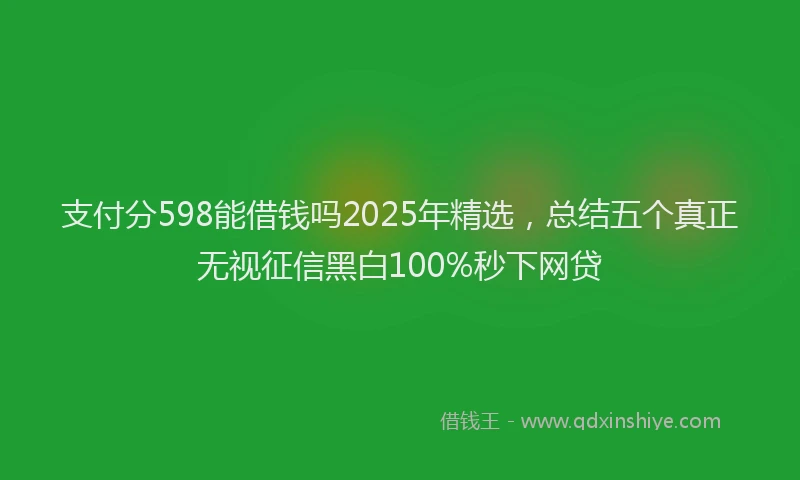 支付分598能借钱吗2025年精选，总结五个真正无视征信黑白100%秒下网贷