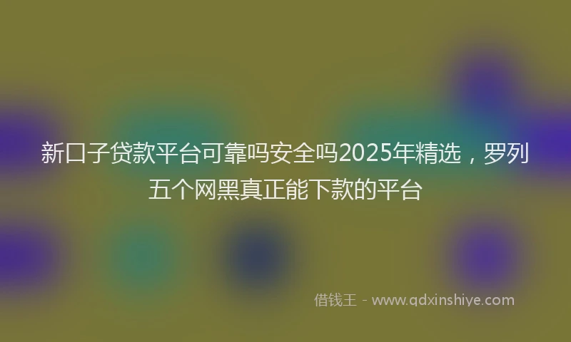新口子贷款平台可靠吗安全吗2025年精选，罗列五个网黑真正能下款的平台