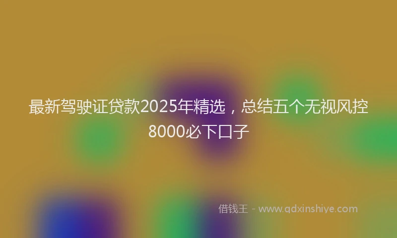 最新驾驶证贷款2025年精选，总结五个无视风控8000必下口子