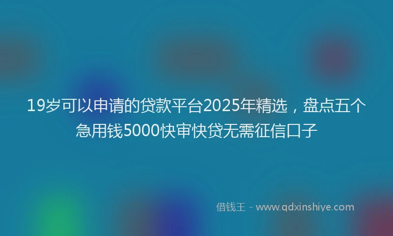 19岁可以申请的贷款平台2025年精选，盘点五个急用钱5000快审快贷无需征信口子