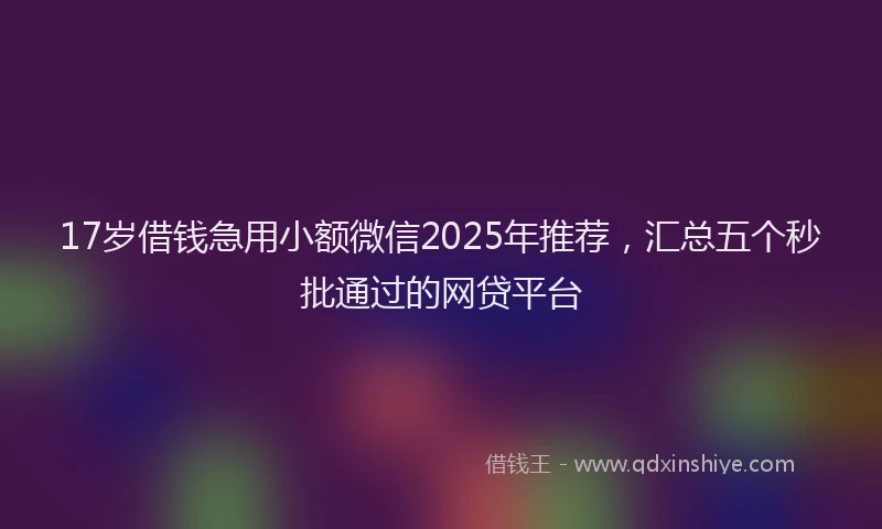 17岁借钱急用小额微信2025年推荐，汇总五个秒批通过的网贷平台