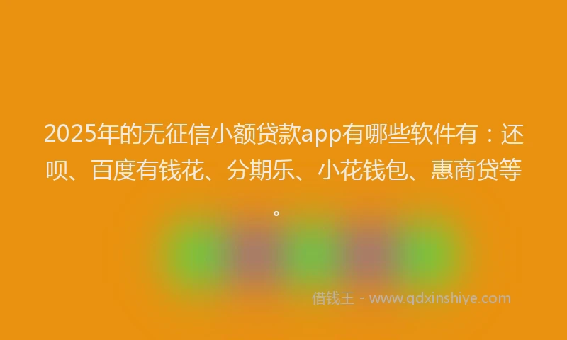 2025年的无征信小额贷款app有哪些软件有：还呗、百度有钱花、分期乐、小花钱包、惠商贷等。