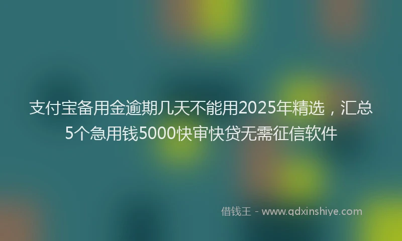 支付宝备用金逾期几天不能用2025年精选，汇总5个急用钱5000快审快贷无需征信软件