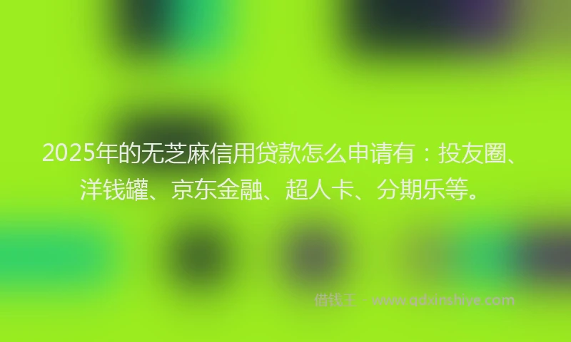 2025年的无芝麻信用贷款怎么申请有：投友圈、洋钱罐、京东金融、超人卡、分期乐等。