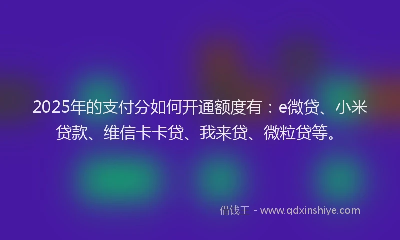 2025年的支付分如何开通额度有：e微贷、小米贷款、维信卡卡贷、我来贷、微粒贷等。