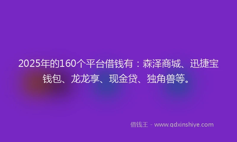 2025年的160个平台借钱有：森泽商城、迅捷宝钱包、龙龙享、现金贷、独角兽等。