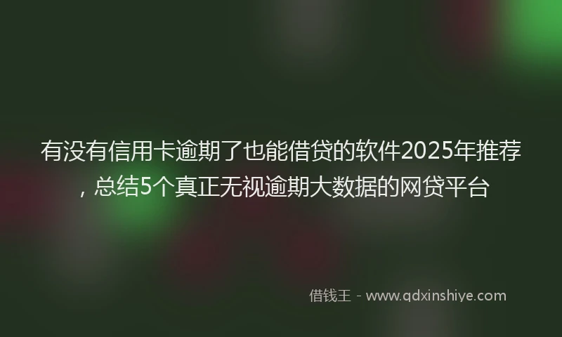 有没有信用卡逾期了也能借贷的软件2025年推荐，总结5个真正无视逾期大数据的网贷平台