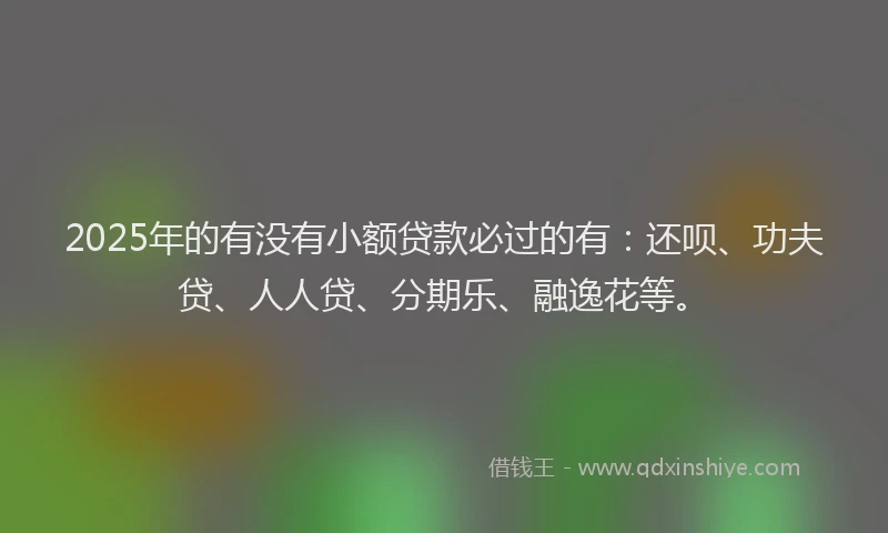 2025年的有没有小额贷款必过的有：还呗、功夫贷、人人贷、分期乐、融逸花等。