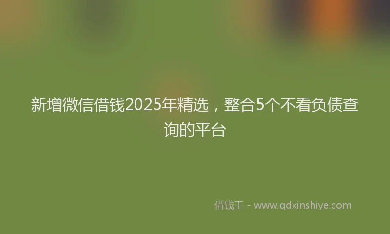 新增微信借钱2025年精选，整合5个不看负债查询的平台