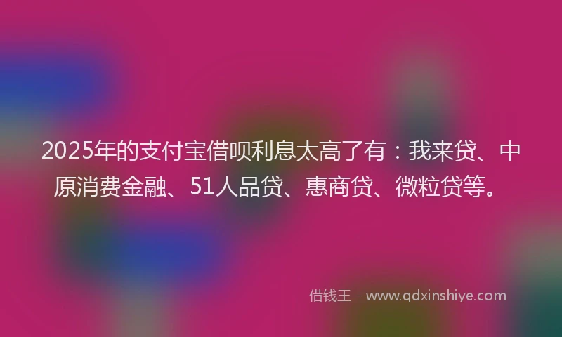 2025年的支付宝借呗利息太高了有：我来贷、中原消费金融、51人品贷、惠商贷、微粒贷等。