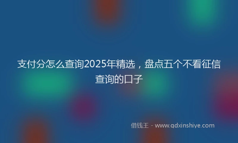 支付分怎么查询2025年精选，盘点五个不看征信查询的口子