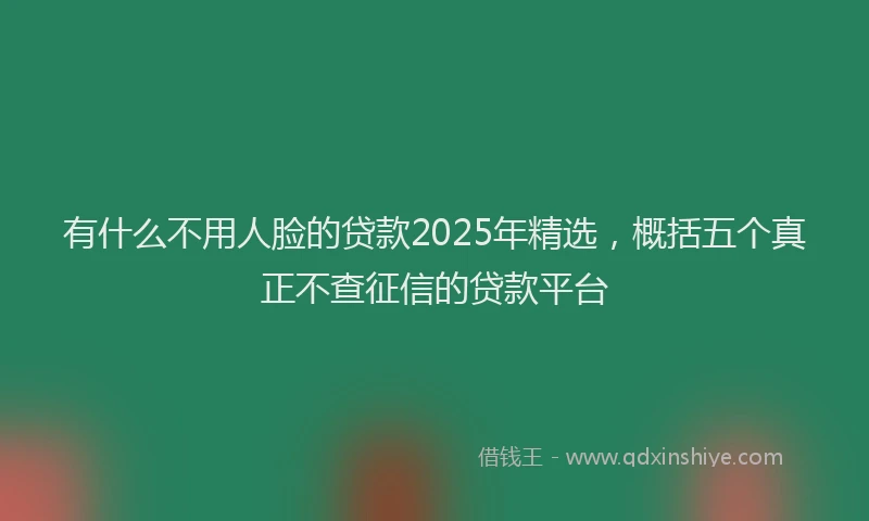 有什么不用人脸的贷款2025年精选，概括五个真正不查征信的贷款平台