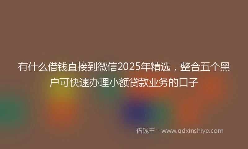 有什么借钱直接到微信2025年精选，整合五个黑户可快速办理小额贷款业务的口子