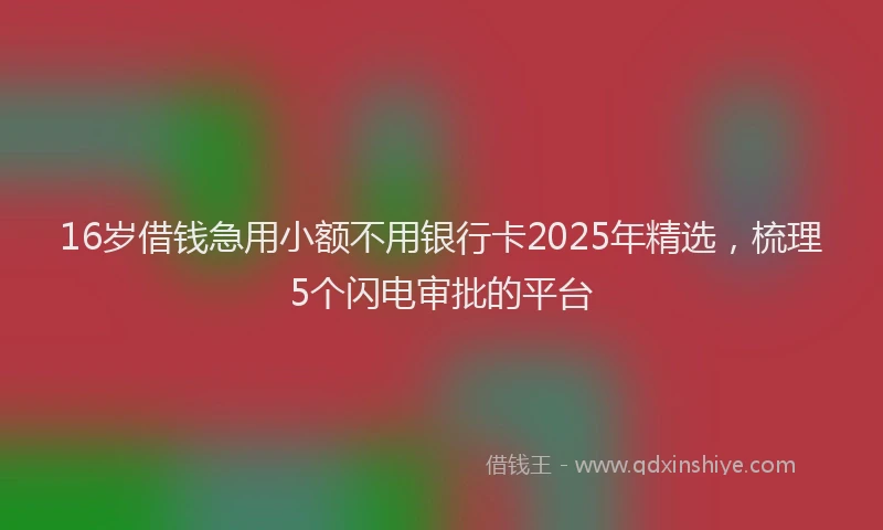 16岁借钱急用小额不用银行卡2025年精选，梳理5个闪电审批的平台
