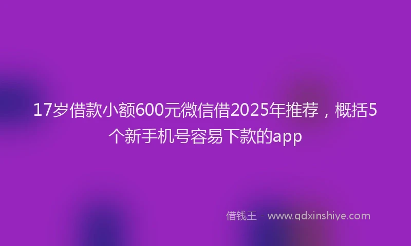 17岁借款小额600元微信借2025年推荐，概括5个新手机号容易下款的app