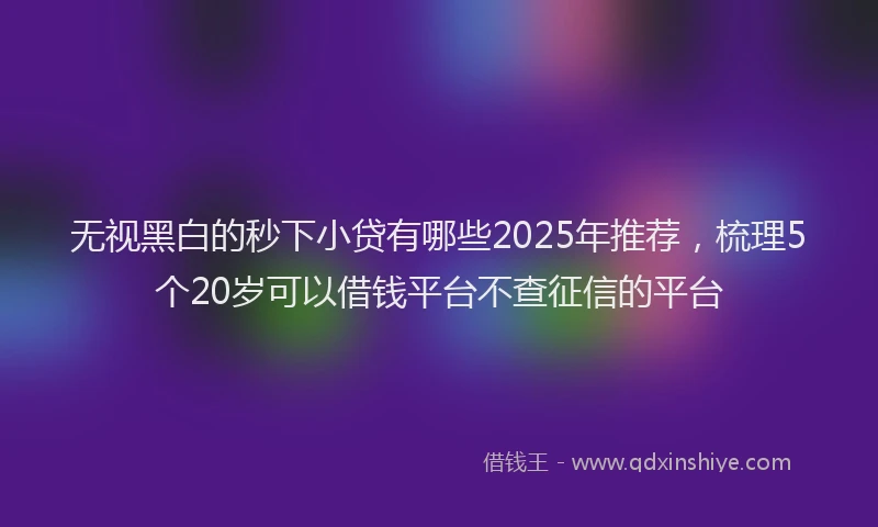 无视黑白的秒下小贷有哪些2025年推荐，梳理5个20岁可以借钱平台不查征信的平台