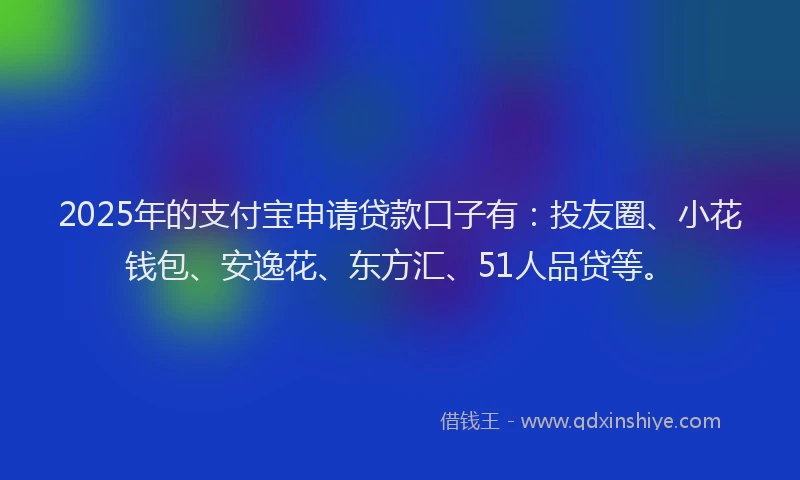 2025年的支付宝申请贷款口子有：投友圈、小花钱包、安逸花、东方汇、51人品贷等。