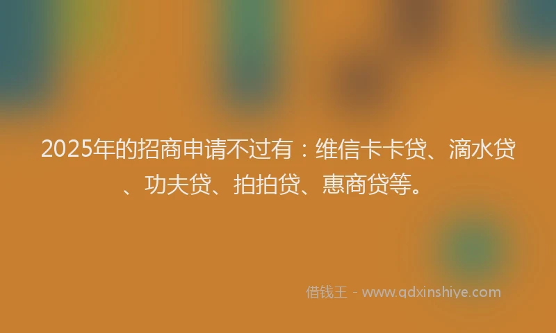2025年的招商申请不过有：维信卡卡贷、滴水贷、功夫贷、拍拍贷、惠商贷等。