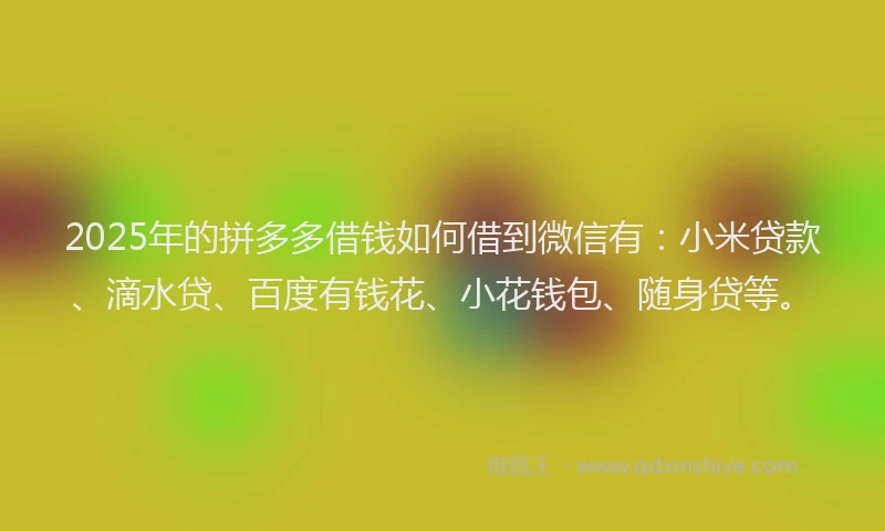 2025年的拼多多借钱如何借到微信有：小米贷款、滴水贷、百度有钱花、小花钱包、随身贷等。