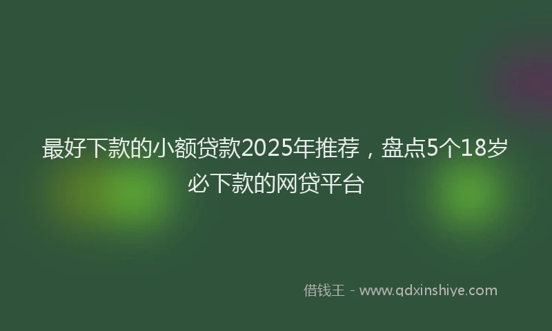 最好下款的小额贷款2025年推荐，盘点5个18岁必下款的网贷平台