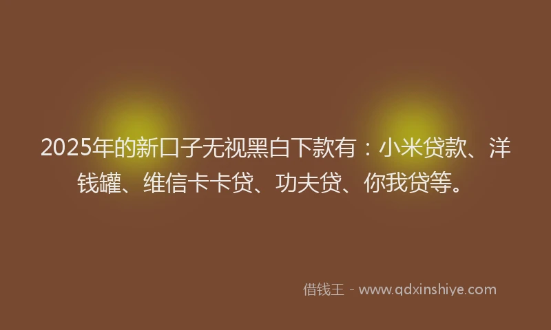 2025年的新口子无视黑白下款有：小米贷款、洋钱罐、维信卡卡贷、功夫贷、你我贷等。