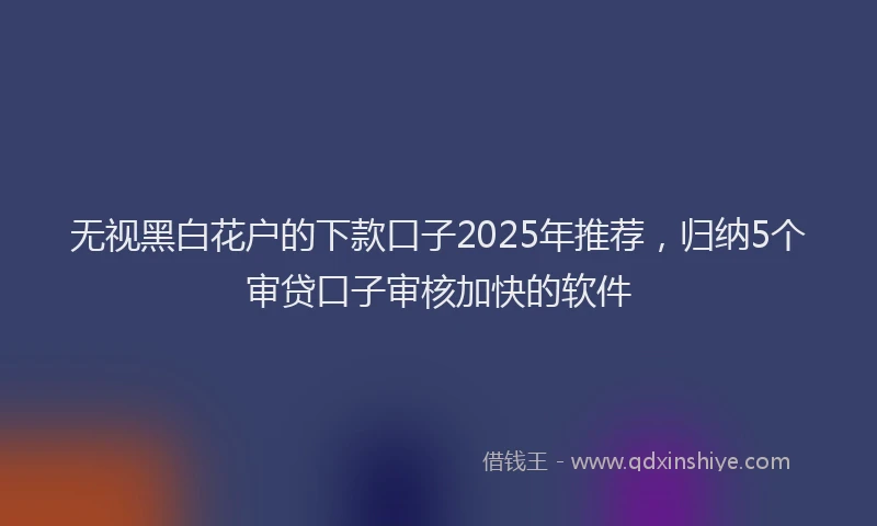 无视黑白花户的下款口子2025年推荐，归纳5个审贷口子审核加快的软件