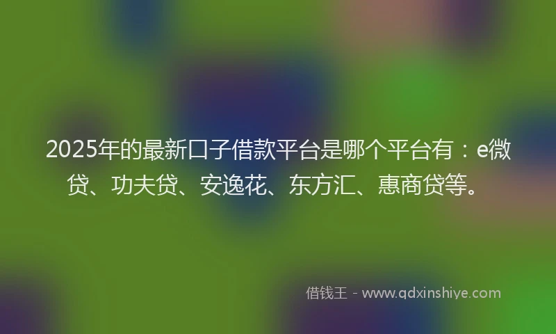 2025年的最新口子借款平台是哪个平台有：e微贷、功夫贷、安逸花、东方汇、惠商贷等。