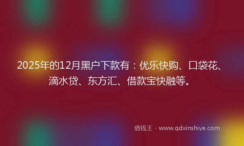 2025年的12月黑户下款有：优乐快购、口袋花、滴水贷、东方汇、借款宝快融等。