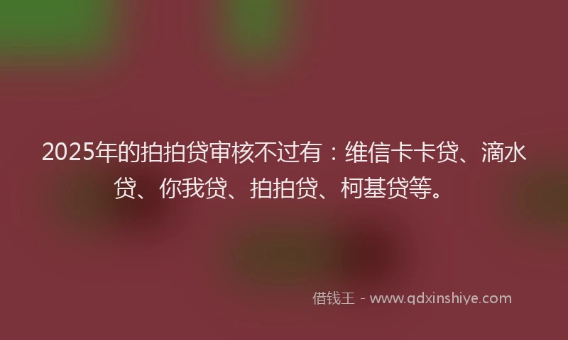 2025年的拍拍贷审核不过有：维信卡卡贷、滴水贷、你我贷、拍拍贷、柯基贷等。
