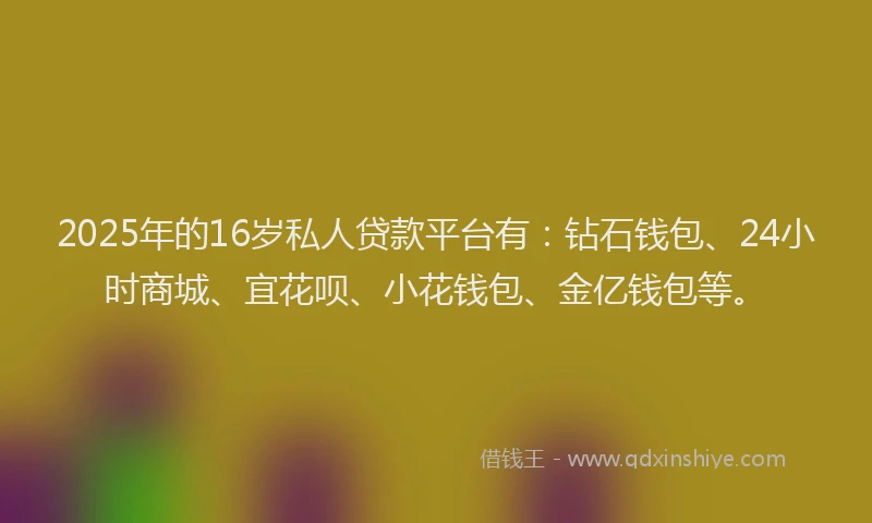 2025年的16岁私人贷款平台有：钻石钱包、24小时商城、宜花呗、小花钱包、金亿钱包等。