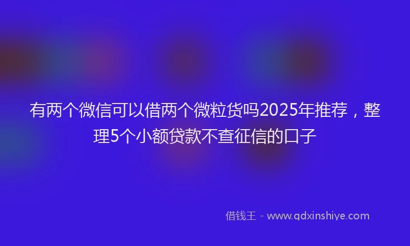 有两个微信可以借两个微粒货吗2025年推荐，整理5个小额贷款不查征信的口子