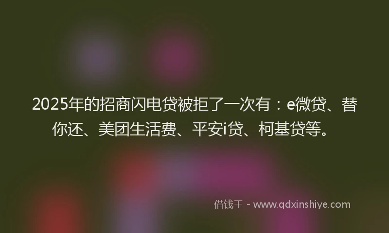 2025年的招商闪电贷被拒了一次有：e微贷、替你还、美团生活费、平安i贷、柯基贷等。