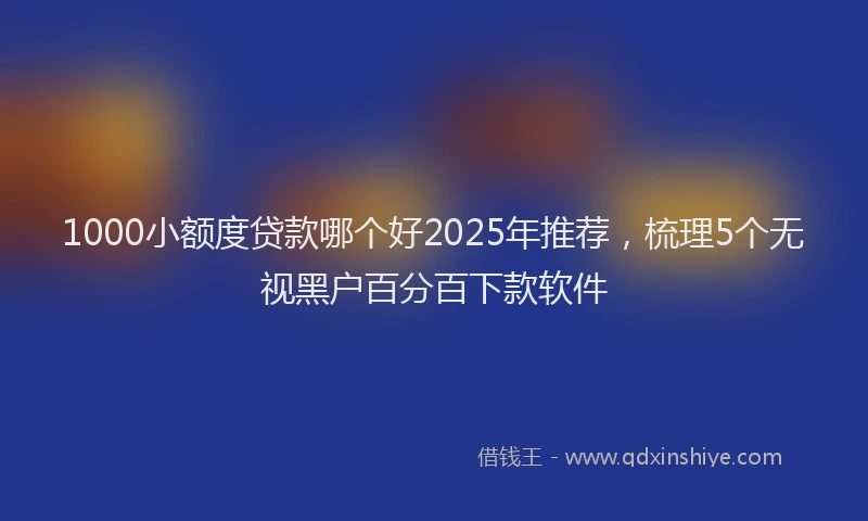 1000小额度贷款哪个好2025年推荐，梳理5个无视黑户百分百下款软件