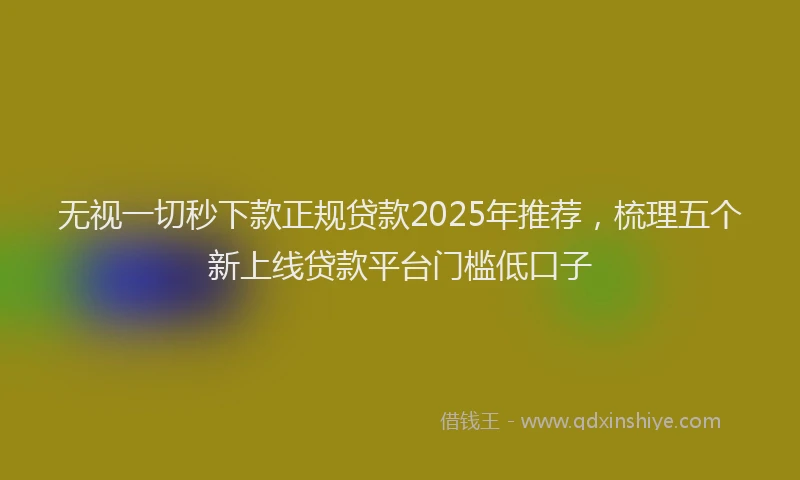 无视一切秒下款正规贷款2025年推荐，梳理五个新上线贷款平台门槛低口子