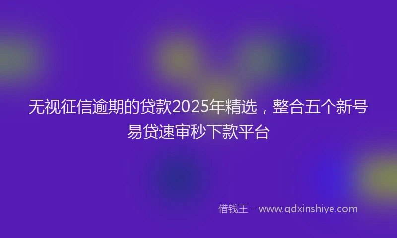 无视征信逾期的贷款2025年精选，整合五个新号易贷速审秒下款平台