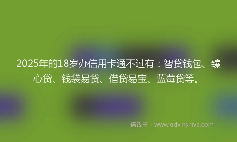2025年的18岁办信用卡通不过有：智贷钱包、臻心贷、钱袋易贷、借贷易宝、蓝莓贷等。