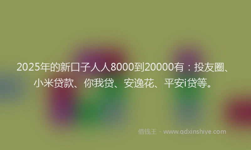 2025年的新口子人人8000到20000有：投友圈、小米贷款、你我贷、安逸花、平安i贷等。