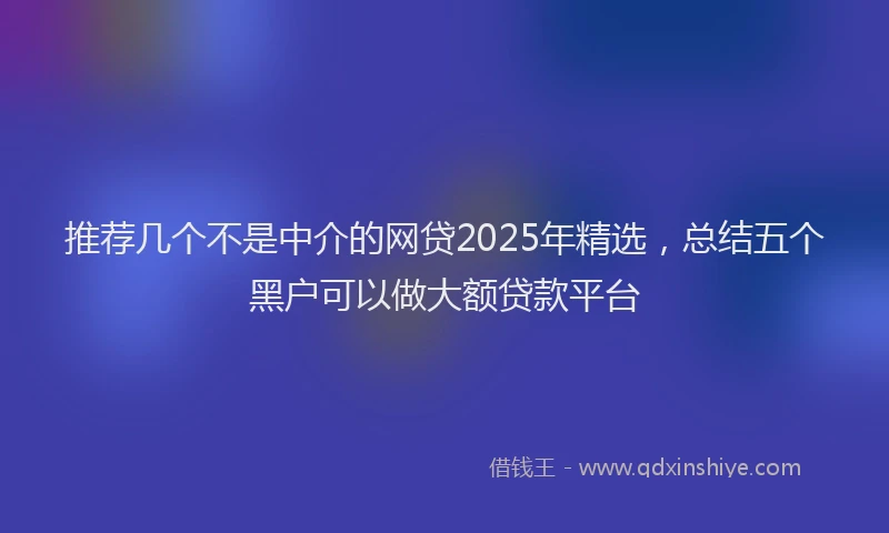 推荐几个不是中介的网贷2025年精选，总结五个黑户可以做大额贷款平台