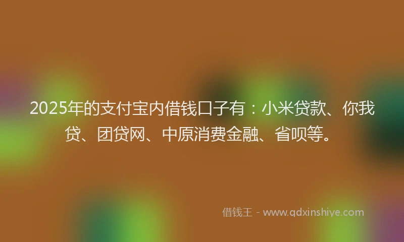 2025年的支付宝内借钱口子有：小米贷款、你我贷、团贷网、中原消费金融、省呗等。