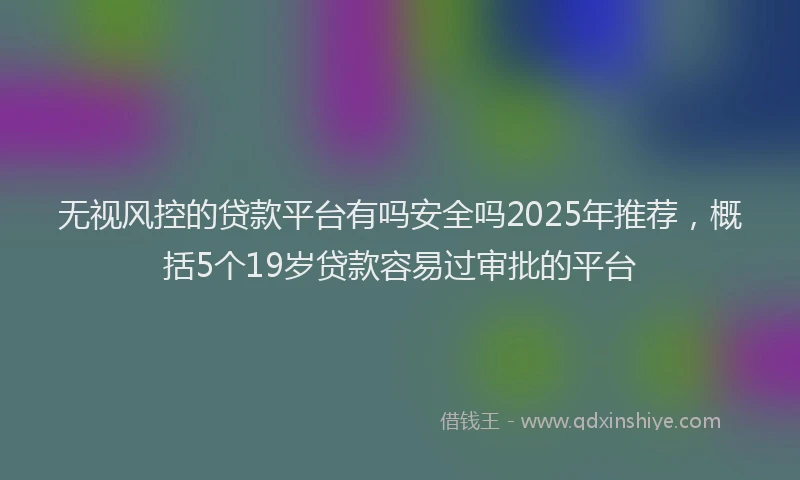 无视风控的贷款平台有吗安全吗2025年推荐，概括5个19岁贷款容易过审批的平台