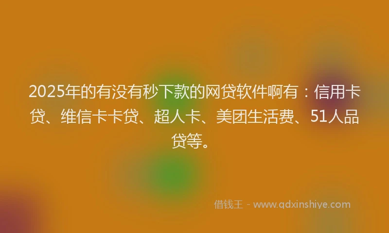 2025年的有没有秒下款的网贷软件啊有：信用卡贷、维信卡卡贷、超人卡、美团生活费、51人品贷等。
